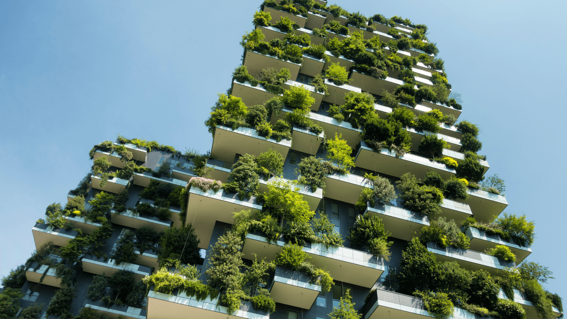 Sustainability Green Tower